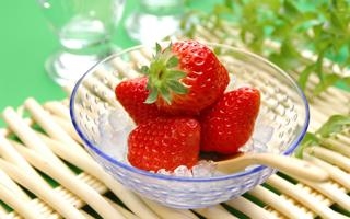 勒沃库森 VS 比萨